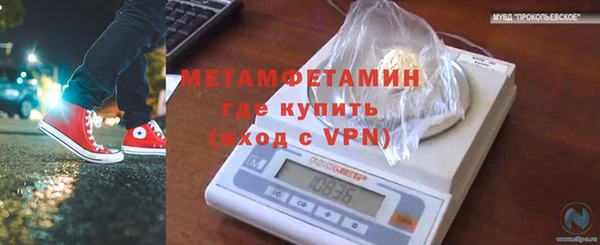 прущие грибы Бугульма