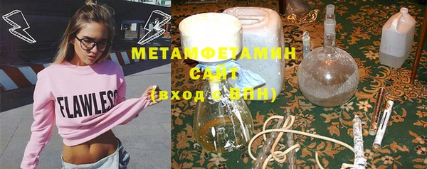 прущие грибы Верея
