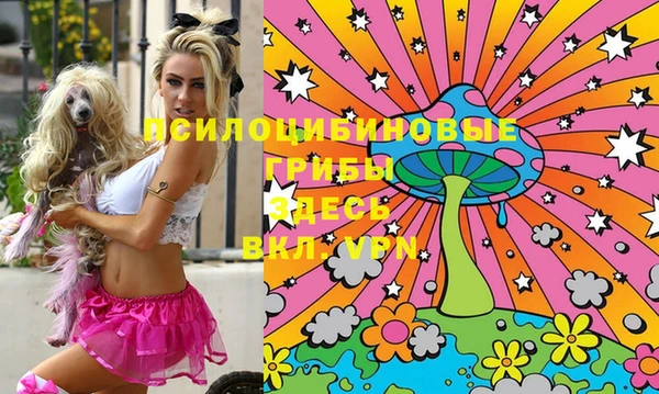MDMA Premium VHQ Бородино