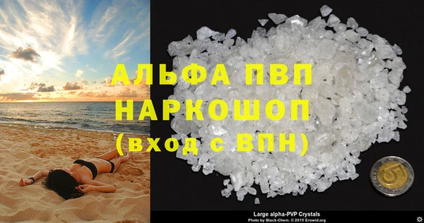 прущие грибы Верея