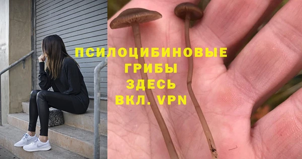 ALPHA PVP Бронницы