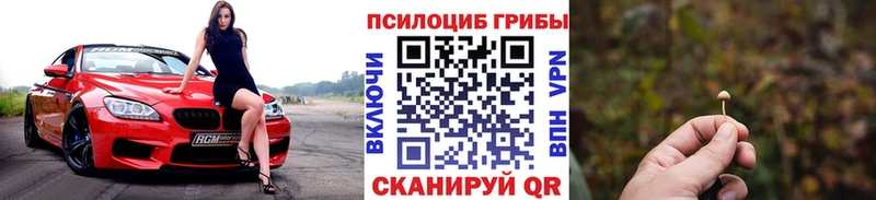 купить omg маркетплейс Галлюциногенные грибы GOLDEN TEACHER Луховицы
